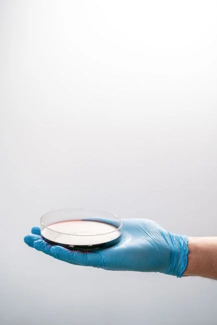 When to Add Genotoxicity and Microbial-Pathogen Testing