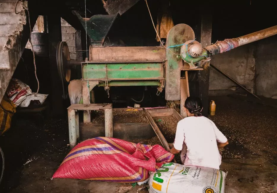 Match the Screen to the Food-Processing Waste Stream