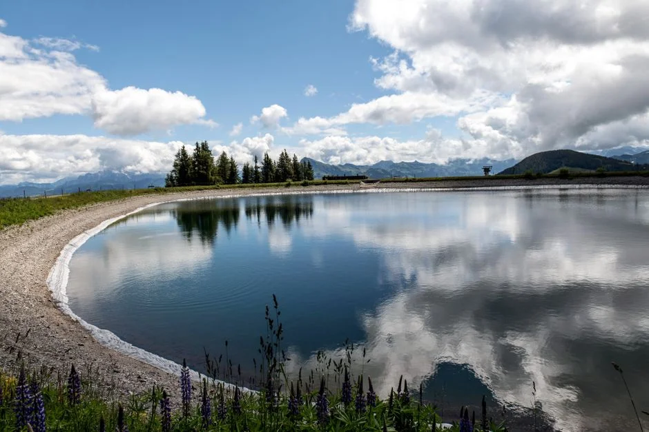 Process Options: MBR, WSZ A/O Package, and Constructed Wetlands