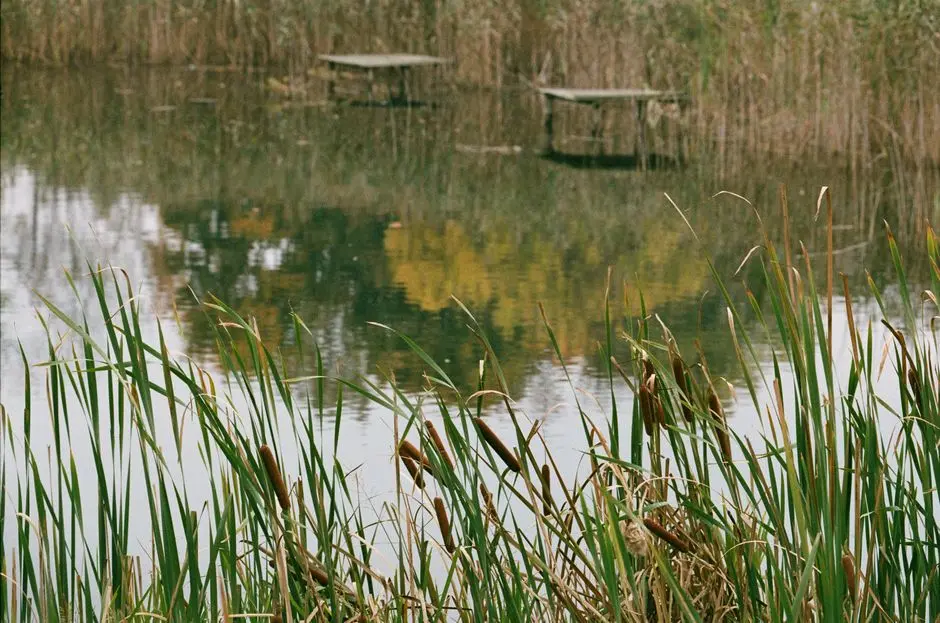 Process Options for a Small Community: MBR, WSZ A/O, Constructed Wetland, UF-Assisted Hybrid