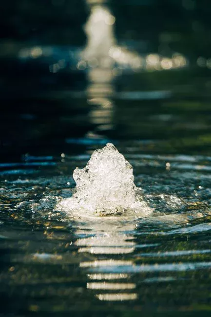 Winter Resilience and Nutrient Polishing