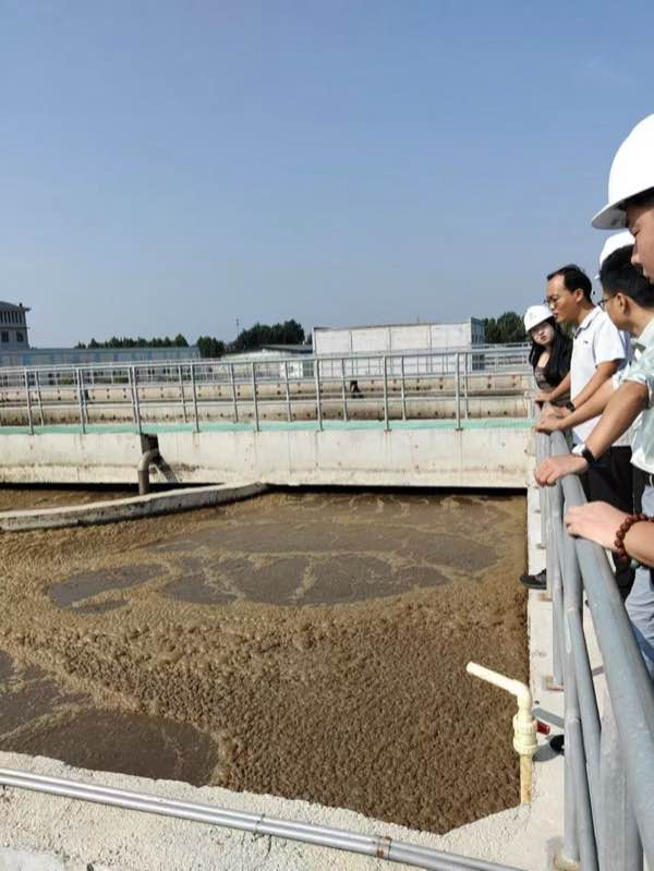 Municipal Wastewater Plant Upgrade: A²/O Process Enhancement with Advanced Tertiary Treatment